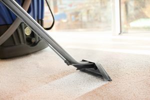 5 Reasons Why You Should Seek Professional Carpet Cleaning